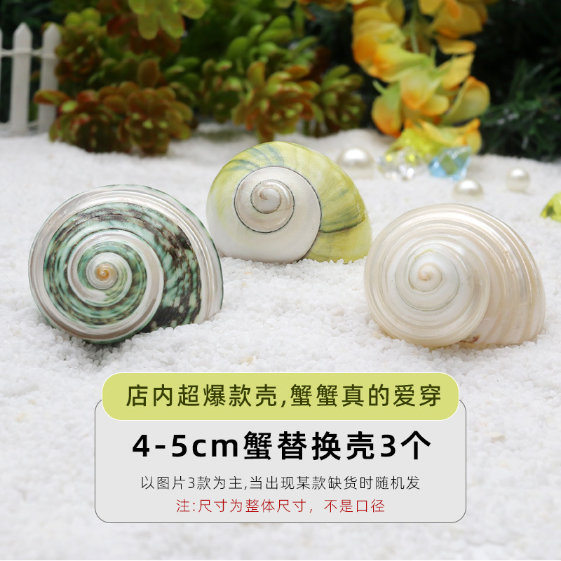 4-5cm 게 교체껍질 3개 [결합팩A]