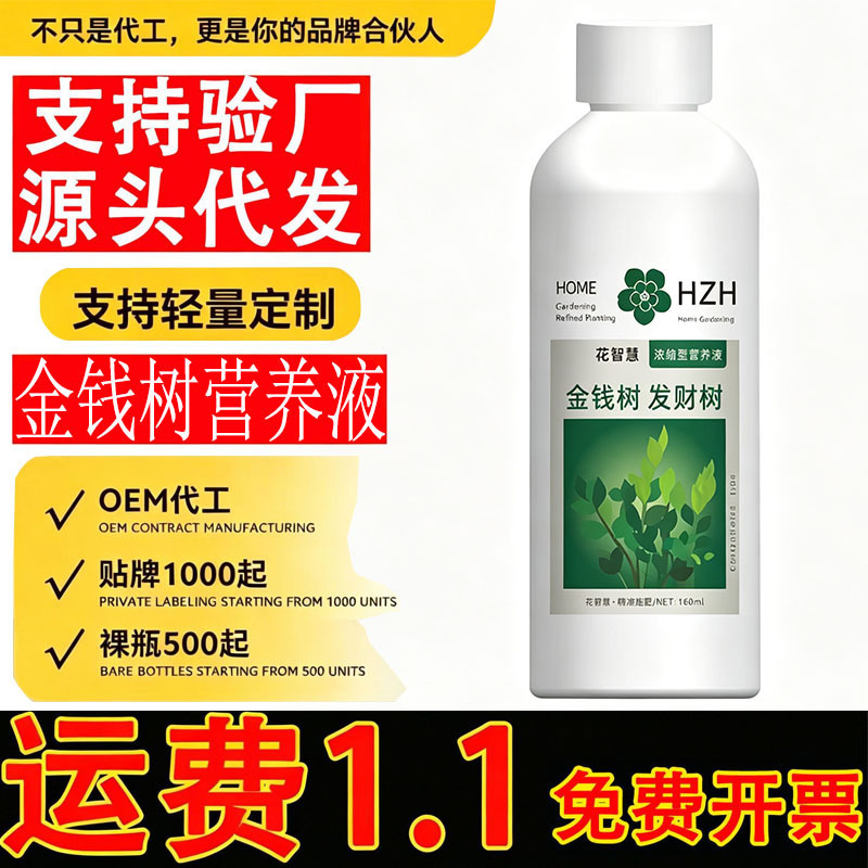Special Fertilizer for Money Tree Nutrient Solution to Improve Yellowing and Leaf Fall, Special Fertilizer for Money Tree, Indoor Green Plant Potting to Promote Growth Special Fertilizer for Money Tree Nutrient Solution to Improve Yellowing and Leaf Fall, Special Fertilizer for Money Tree, Indoor Green Plant Potting to Promote Growth