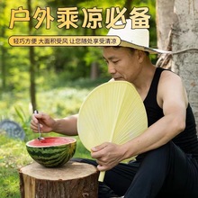 夏季新款塑料手摇蒲扇加大防摔坏家用纳凉扇传统老式芭蕉扇子加厚