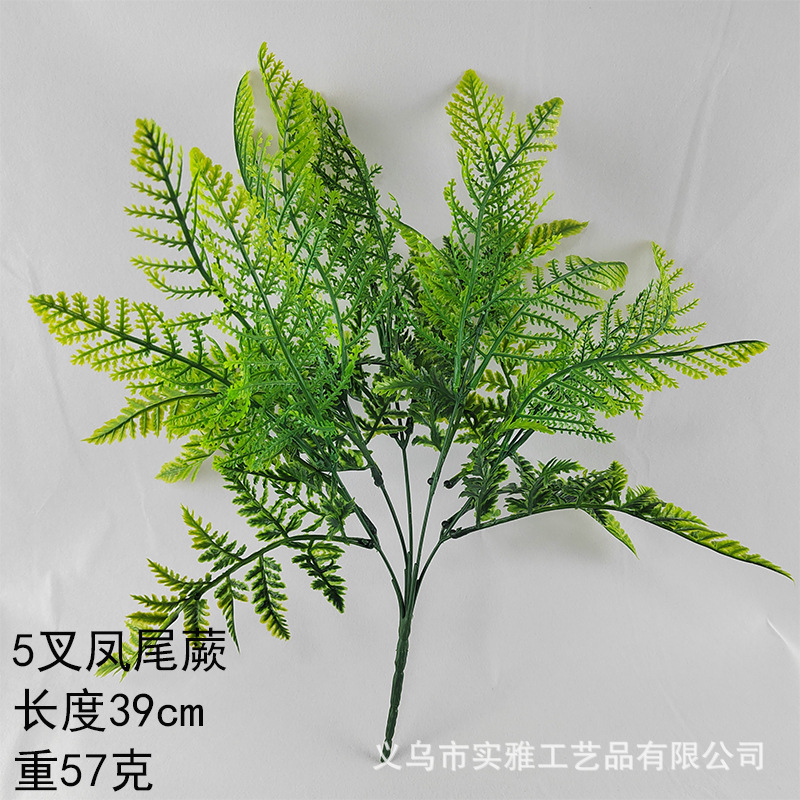 Fritus quintilus