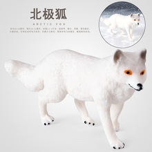 �羳С������߾�β���t�����O�׺�������������⻨���쾰С�[��