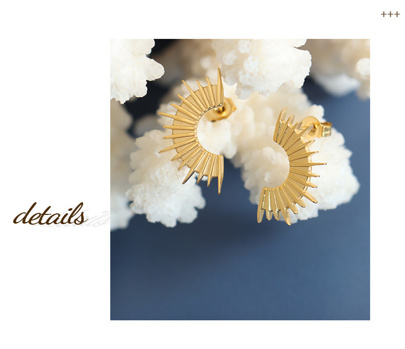 Simple Style Geometric Titanium Steel Plating Earrings 1 Pair