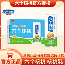 六个核桃精制型核桃乳240ml*24罐装整箱批发低糖植物饮料