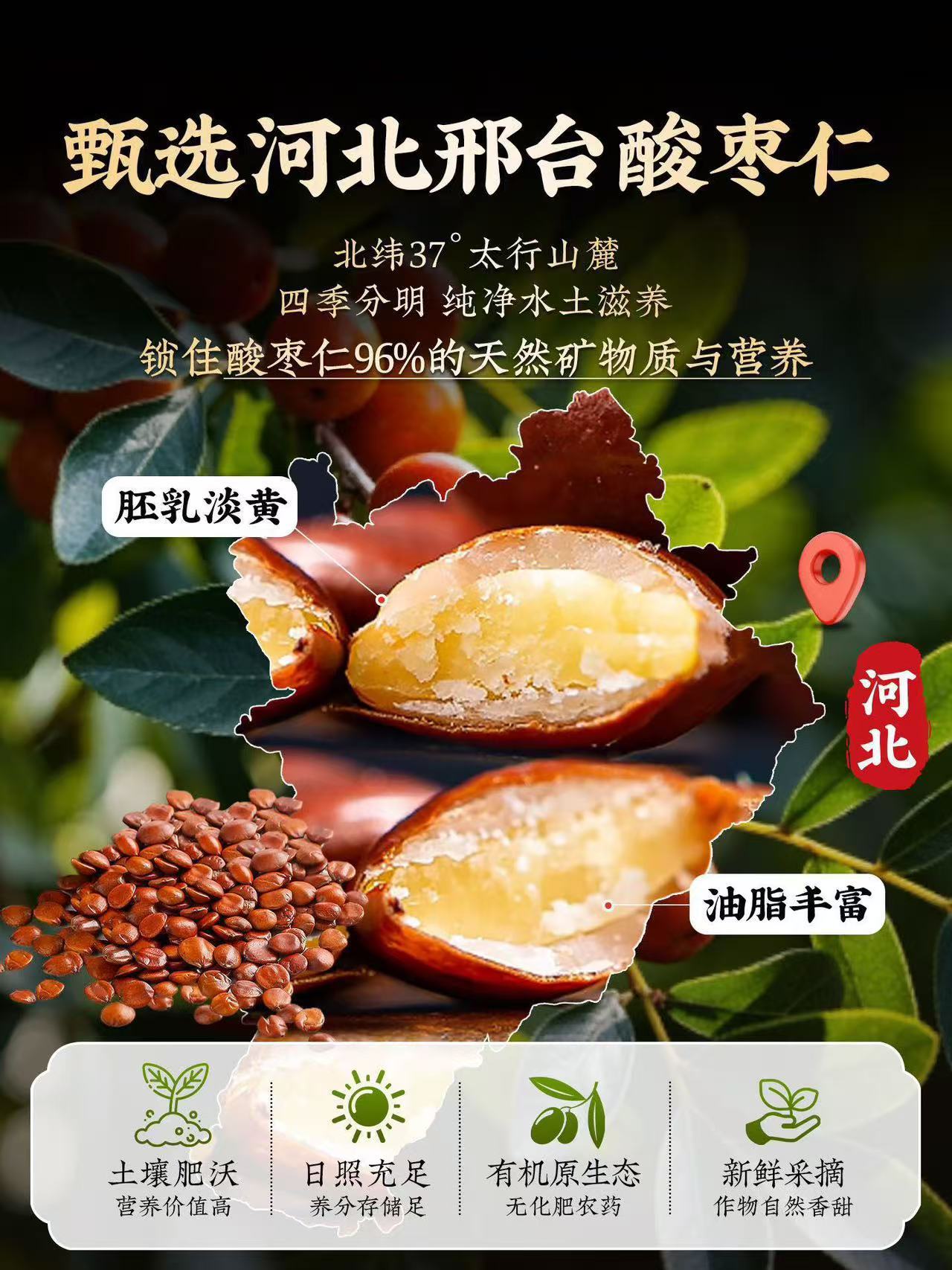 Sour Jujube Seed Powder Suan Zao Ren 250g Bottle Roasted Low-Temperature Milled Herbal Powder overview