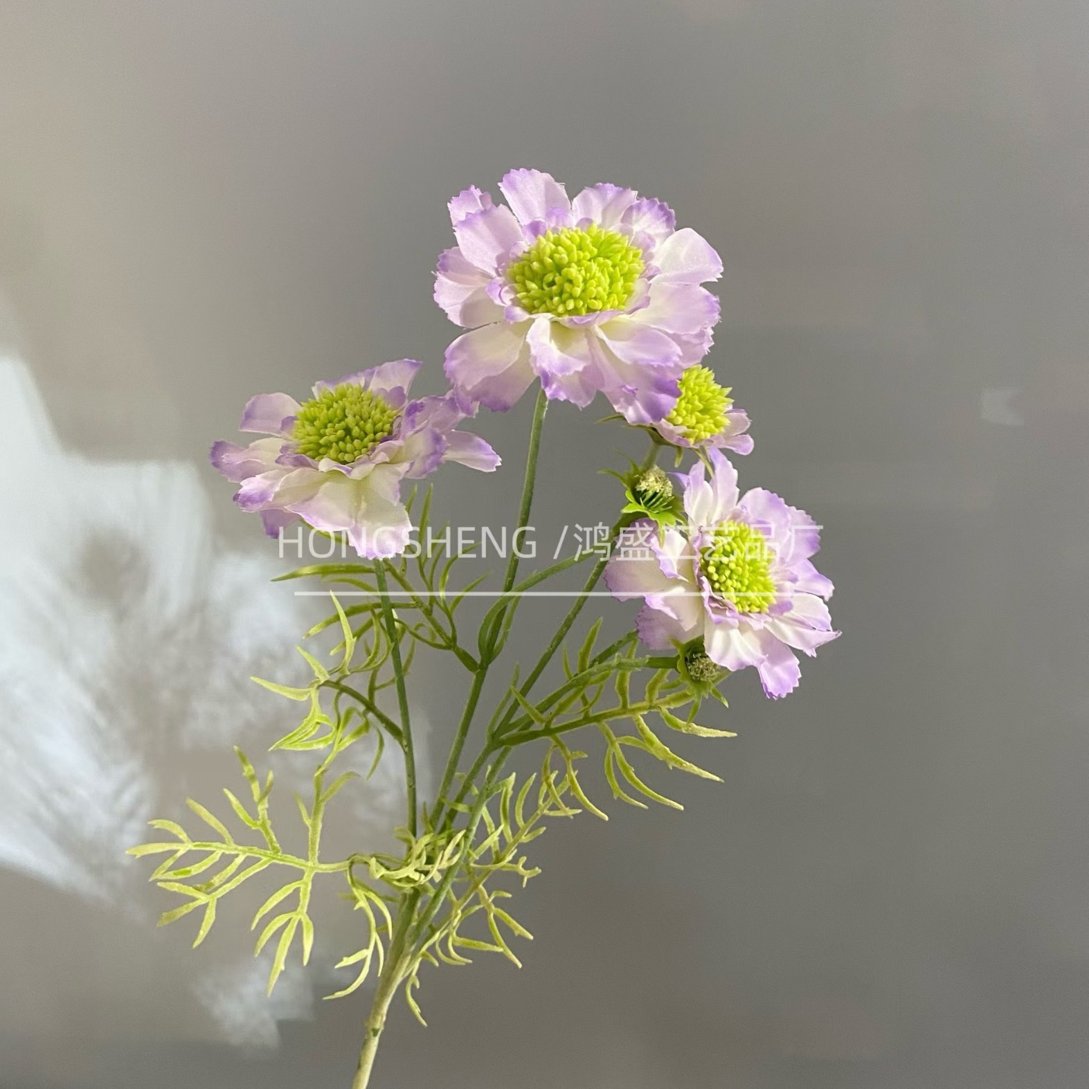 밝은 보라색