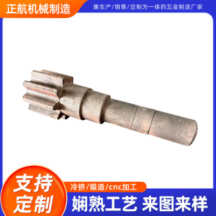 �S�ҳнӸ��N�������ƜؔD��ë�� �؉����� �ؔD����������