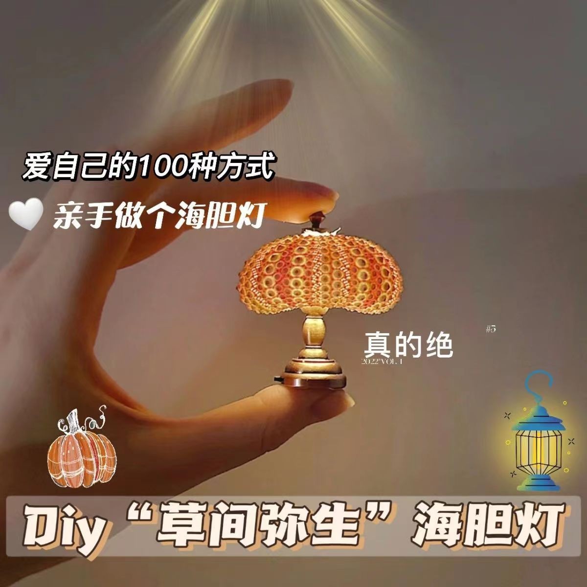 Xiaohongshu: такой же мини-ретро-ежик ночной свет для детской настольной лампы, декоративное украшение комнаты девочек