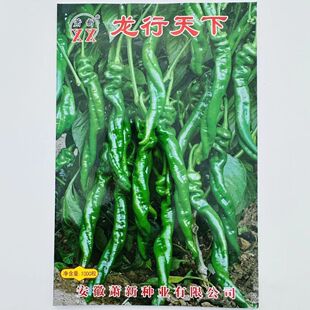 ʒ�������N�����������]���N��ζ����ⱡƤ����a�����ݽz���N��