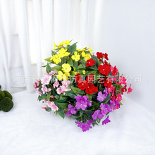 °Pɻٻָײ԰͏dƵ䁔[żٻ