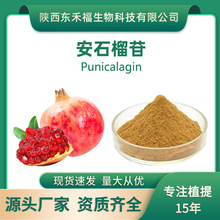 ��ʯ����20%��ʯ��߰65995-63-3Punicalagin500gÿ�������ߴ���