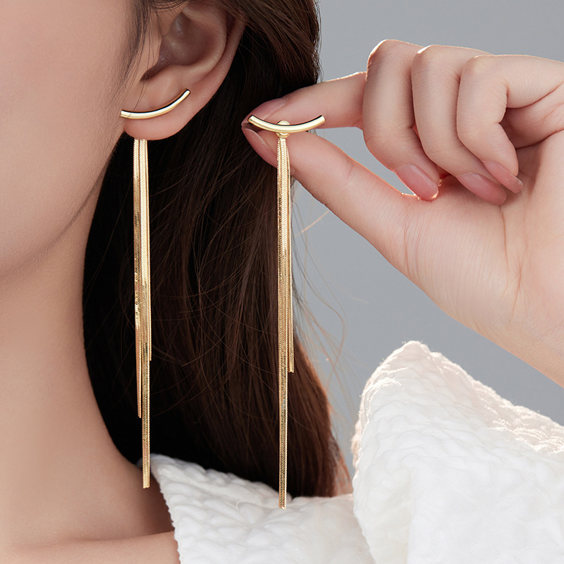 Cross-Border Popular 925 Silver Needle Simple Tassel Earrings Accessible Luxury High-End Exaggerated Long Earrings Women's Earrings Ins