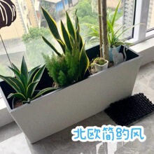 �������ϷNֲ��ͥԺ�R�����̨��B�ט�֬�L������ˮ�����^�p�~
