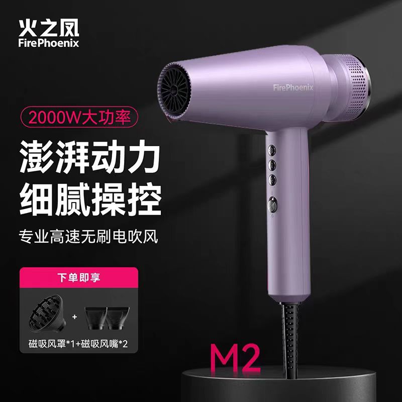 M2 Xiaguang Purple(브러시리스 모터 2000와트)