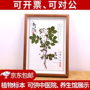 �Ę˱�ֲ��˱��b��D�~�˱�����չʾ��Ʒ�˱�