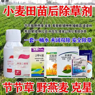 ����������С�������݄�Ұ����������С������ݠ������rș��Ʒ