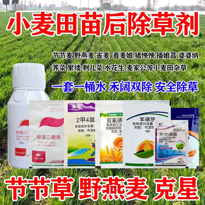节节麦专除小麦苗后除草剂野燕麦播娘蒿小麦田除草烂根剂农药正品