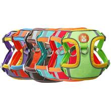 宠物胸背带套装反光遛狗胸背带牵引绳狗狗外出牵引胸背带厂家批发