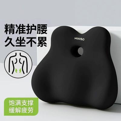 Waist support: Lumbar Support Cushion for Long - mysterious-black-basic-model