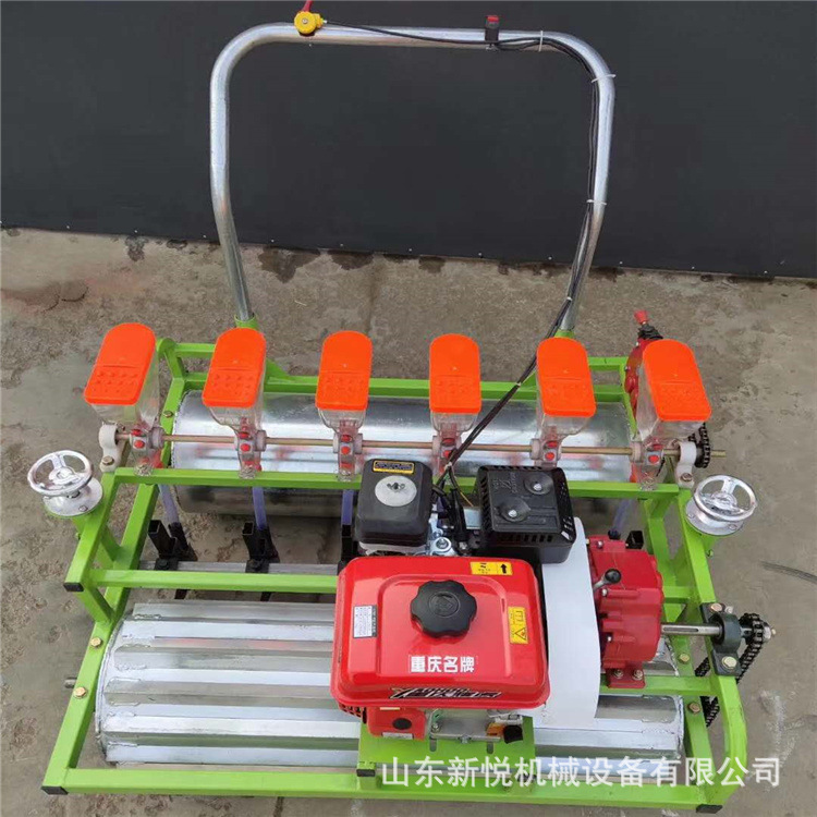 汽油自走式蔬菜播种机 蒲公英板蓝根精播机 免间苗多行蔬菜播种机