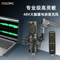 Capacitive Microphone Live Streaming Equipment Audio Interface 48V Large Diaphragm Recording Microphone Microphone Desktop Microphone