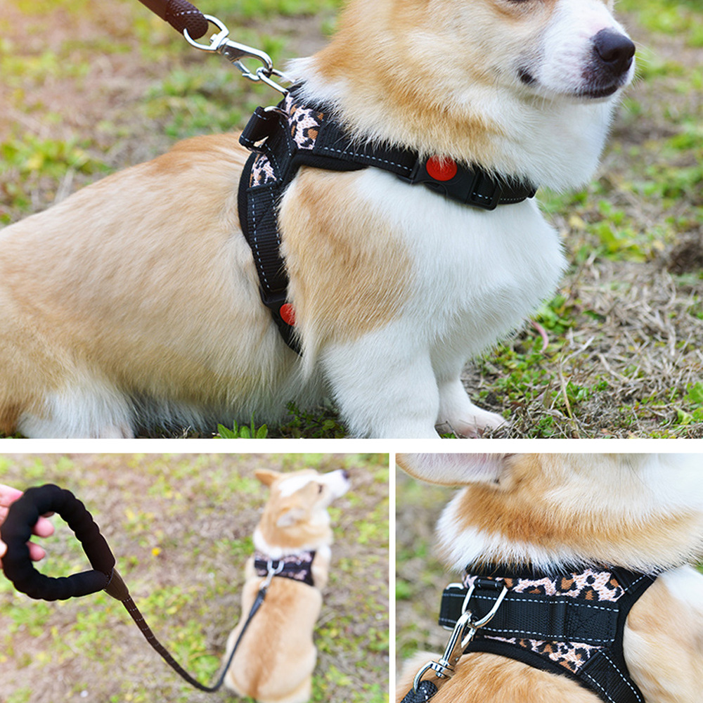 ZB6206 万向钩-9.jpg