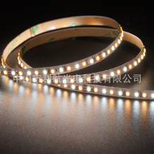 2216LED240pɫسխ5MM{{ɫ͉24V@ָ