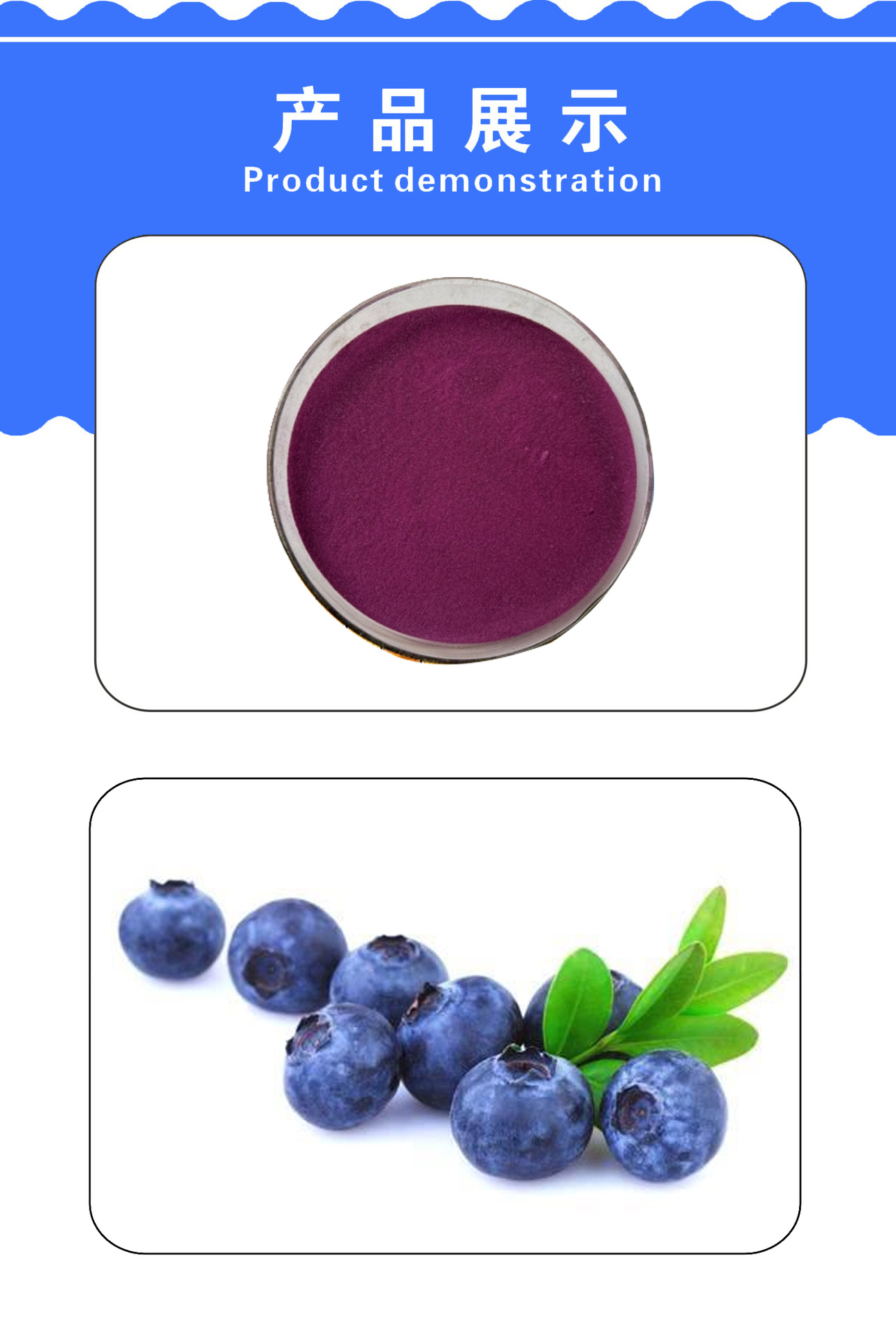 蓝莓粉 加拿大原装进口 花青素抗衰老食品 Prairie Naturals包邮_winwin368