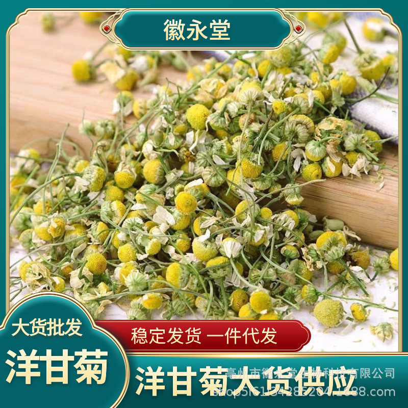Wholesale chamomile herbal tea new Roman chamomile tea large quantity price excellent 500g chamomile manufacturers