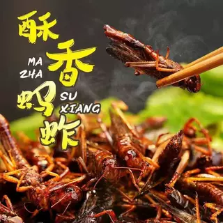 山东特产新鲜油炸香酥辣孜然蚂蚱即食零食小吃酥脆蝗虫下酒菜熟食