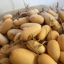 �F�д����̓rҰ�����ϴ����ֺ��J�m���Ӯ����L�����ֹ��YƷ�b�