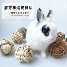 ���u����ĥ����ߺ��m�iͨ����ʳ��ҧ����ֹ�������؈��������
