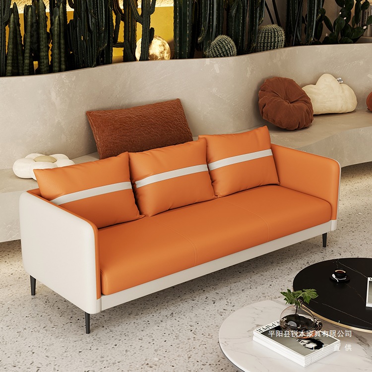Nordic Simple Small Apartment Sofa Apartment Rental Clothing Store Rest Area Reception Double Three-Seat Small Sofa