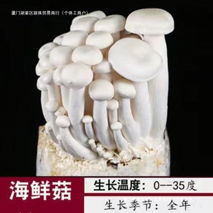 ���N�ҷNĢ��������ͥ�҃ȷNֲʳ�þ�����������