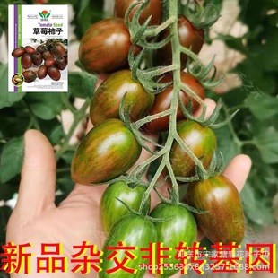 ��Ʒ����ݮ���ӷ��ѷN�ӡ������ļ����t�����ļ��߲˷N�ӷ�����