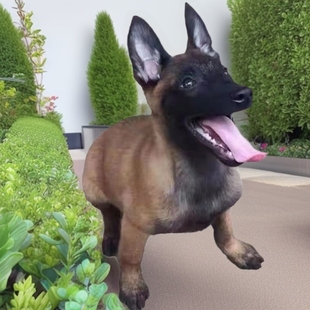 ���N�RȮ��Ȯ���w��Ȯِ�������oԺȮ�����r��ĿС�RȮ�o�lȮ�RȮ