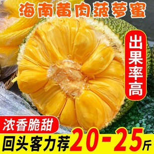 ���ں��������S�Ⲥ�}��һ�������_�����rˮ������ɏ�t�����l���]
