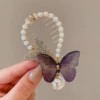 4#purple butterfly ponytail