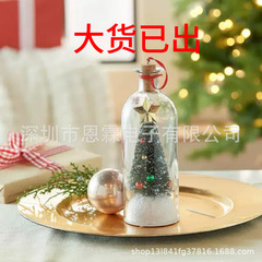 Christmas Tree Message in a Bottle圣诞树瓶中信圣诞录音礼物