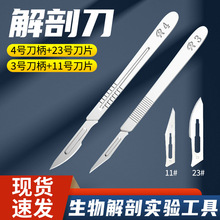 解剖刀（解剖刀柄+刀片）解剖工具器具生物实验器材教学仪器