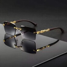 2025�¿�o����߅̫��R��ʿ�r�г������ټܷ����⾀ī�R�{�����