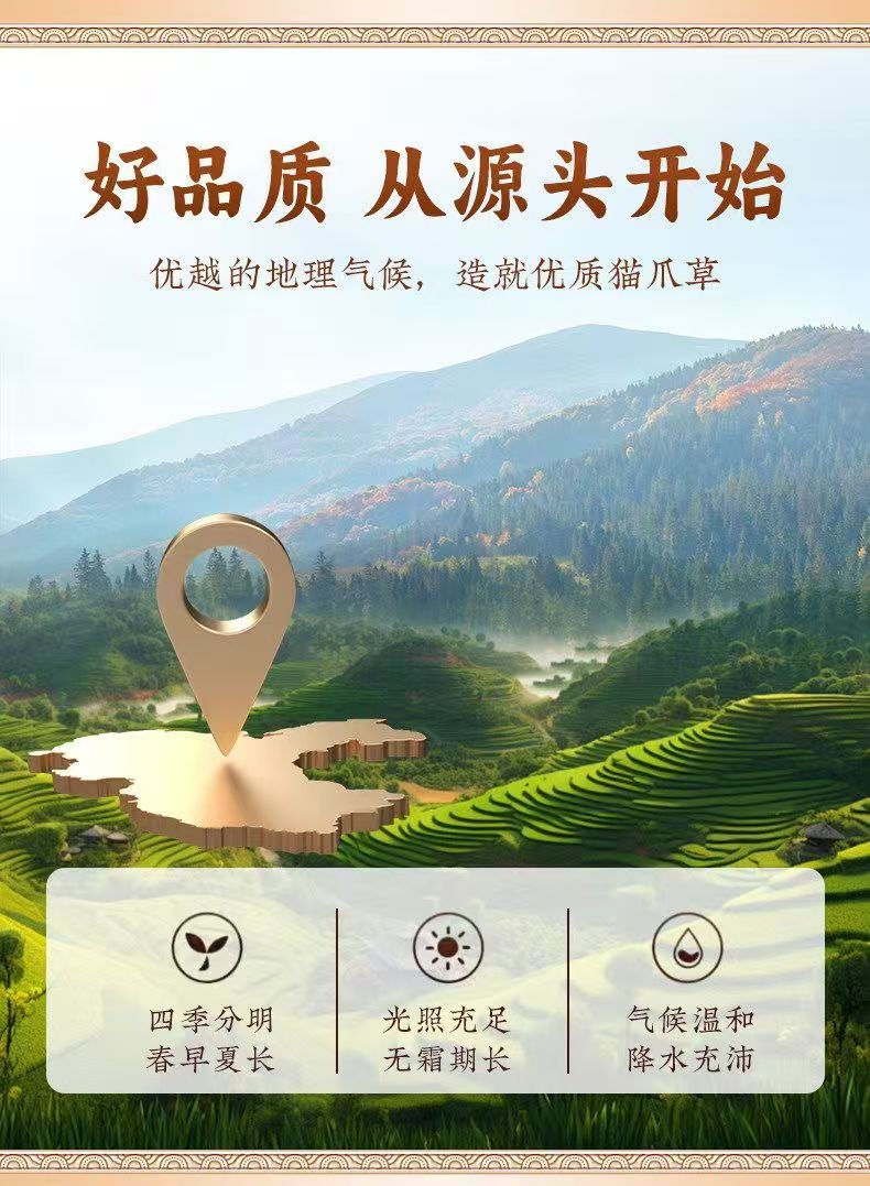 Cat Claw Herb Mao Zhua Cao Dried Radix Ranunculi Ternati 500g Washed Whole Root for Decoction key features