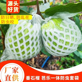 生鲜水果包装;EPE珍珠棉;网兜