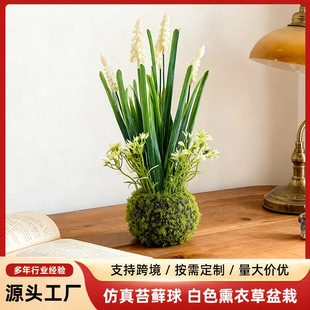 �羳���N����̦�\���ɫѬ�²������҃���Ҿ��b����Gֲ���S���l