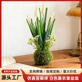 跨境热销仿真苔藓球白色熏衣草盆栽室内外家居装饰桌绿植工厂批发