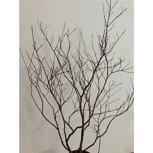 �ɘ�֦��֦�ɘ��ɫ�ݘ�֦����ˇ�g�٘����͘��֦�b���ɺ��֦