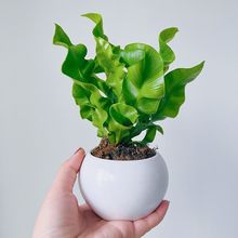 �����B��ާ�W�t�k���҃ȾGֲ����С���Ԕ[�����B���ݗ������՚�