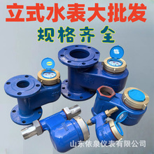 ��ʽˮ��DN15�����ԁ�ˮ�z��DN5020���Mˮ���MˮDN25ˮ��ˮ�ܹ�ˮ