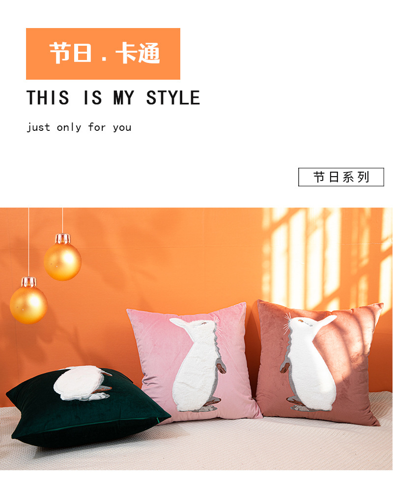 JY1122-125抱枕详情_01.jpg