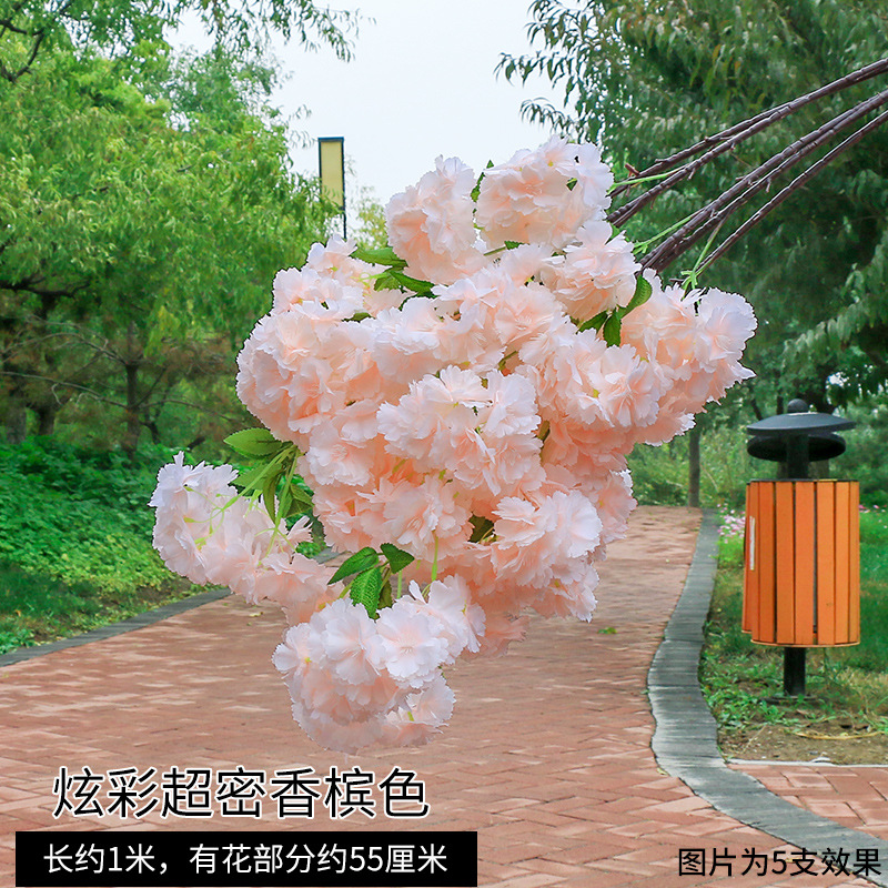 컬러풀한 초밀도 샴페인 컬러