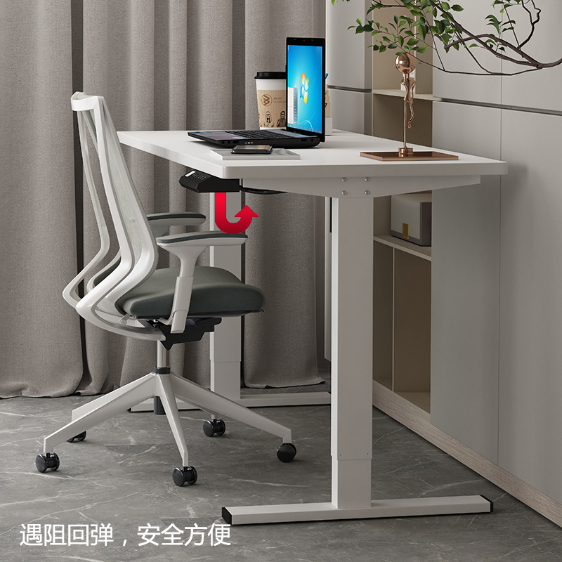 2F Electric Standing Desk Office Computer Desk Smart Automatic Learning Desk Writing Desk Study Desk Teenager Desk Boss Desk